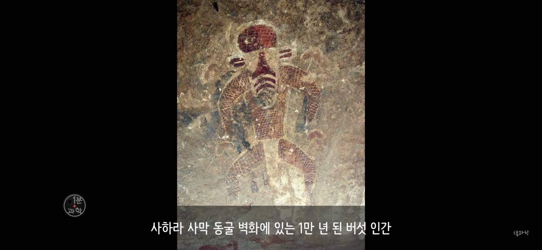 전세계에서 금지된 마약 | 인스티즈