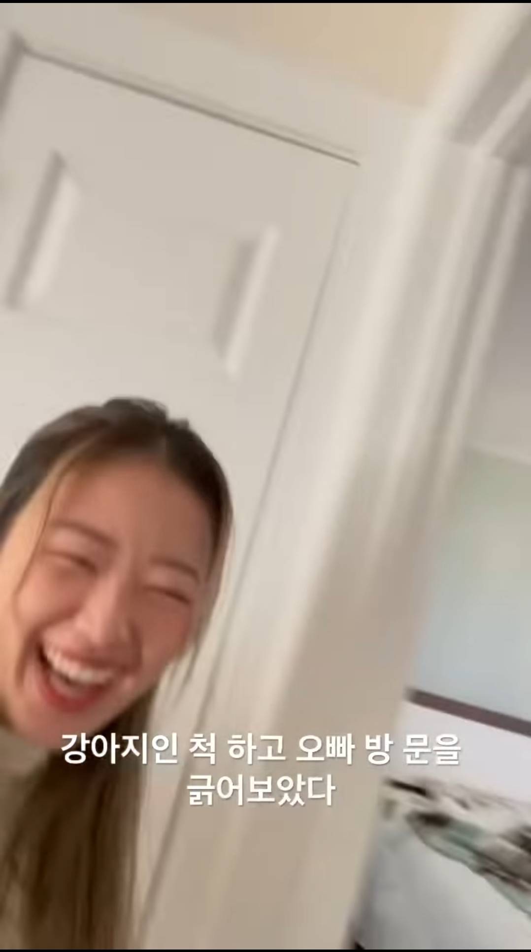 강아지인척하고 오빠 방문을 긁어보았다 | 인스티즈