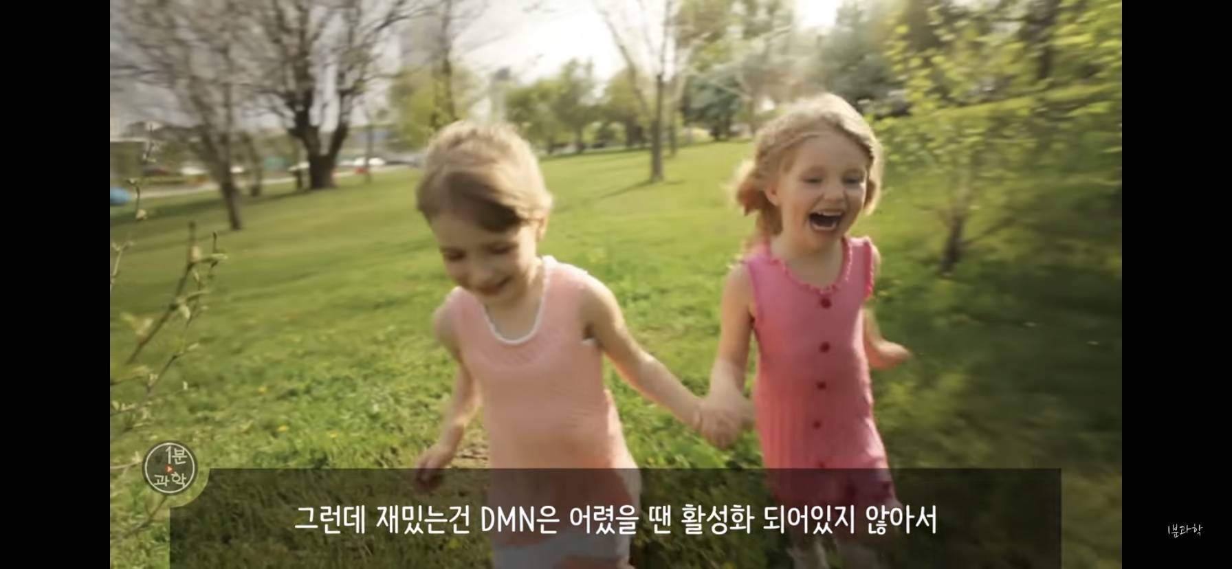 전세계에서 금지된 마약 | 인스티즈