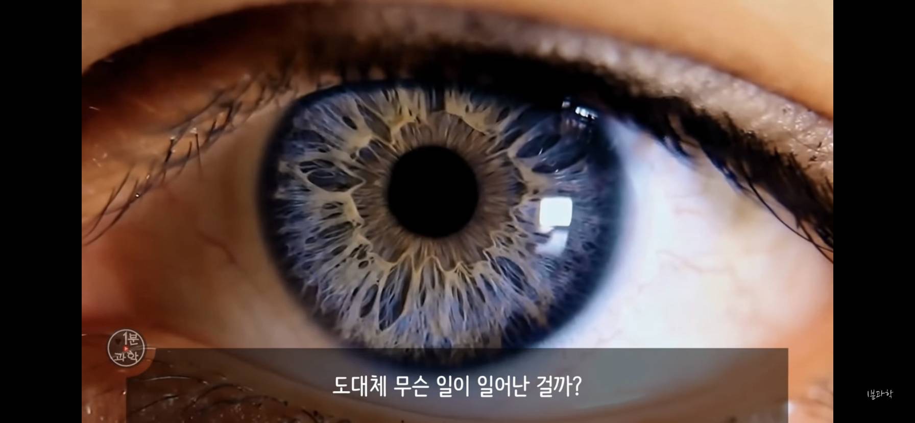 전세계에서 금지된 마약 | 인스티즈