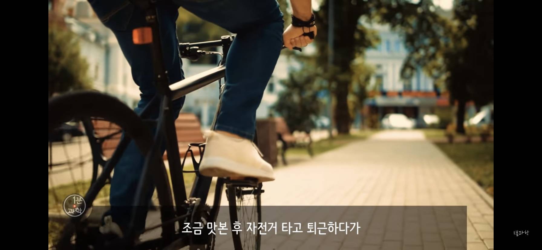 전세계에서 금지된 마약 | 인스티즈