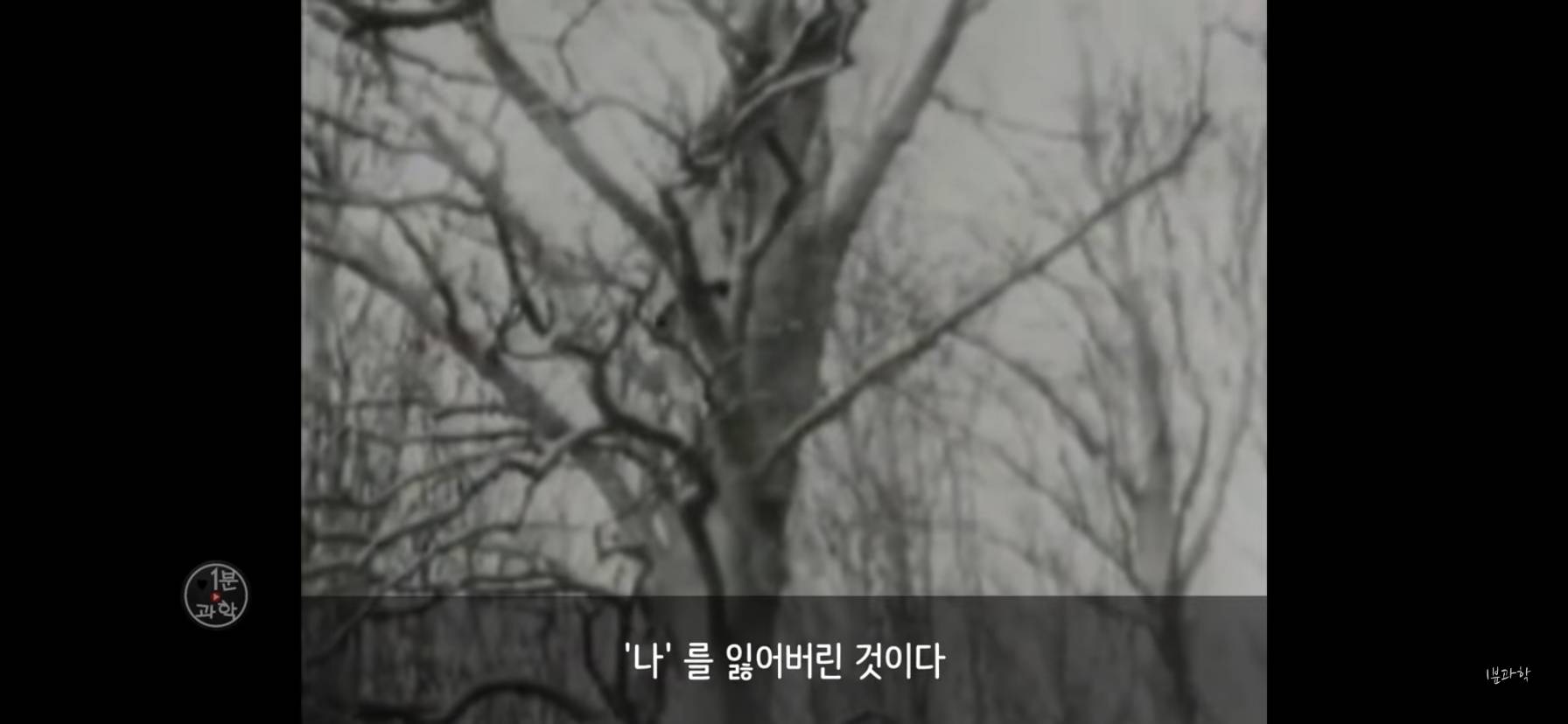 전세계에서 금지된 마약 | 인스티즈