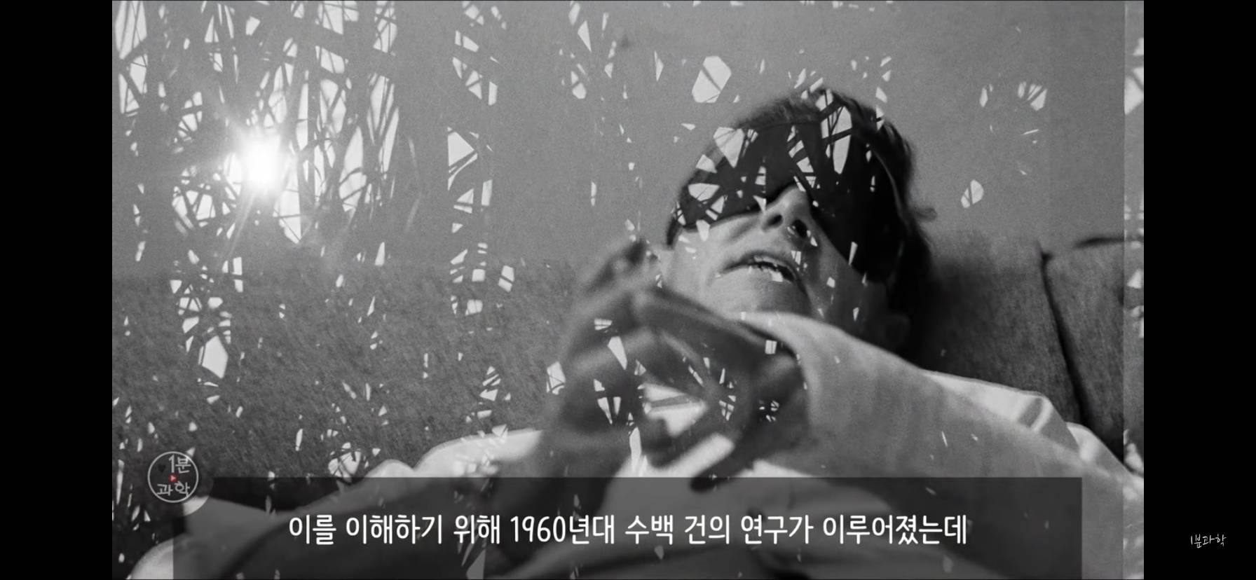 전세계에서 금지된 마약 | 인스티즈