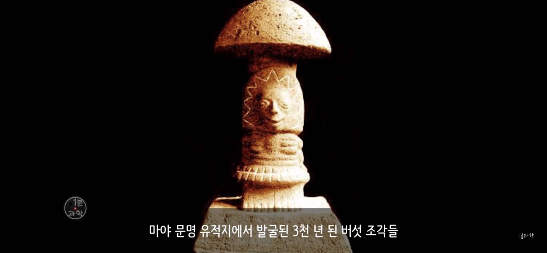 전세계에서 금지된 마약 | 인스티즈