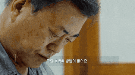 다큐에 나온 문재인 대통령의 고양이 찡찡이 | 인스티즈