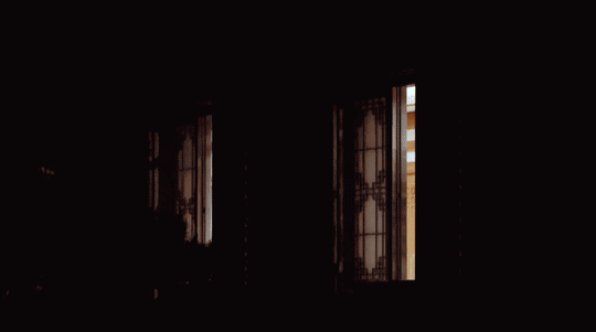 다큐에 나온 문재인 대통령의 고양이 찡찡이 | 인스티즈