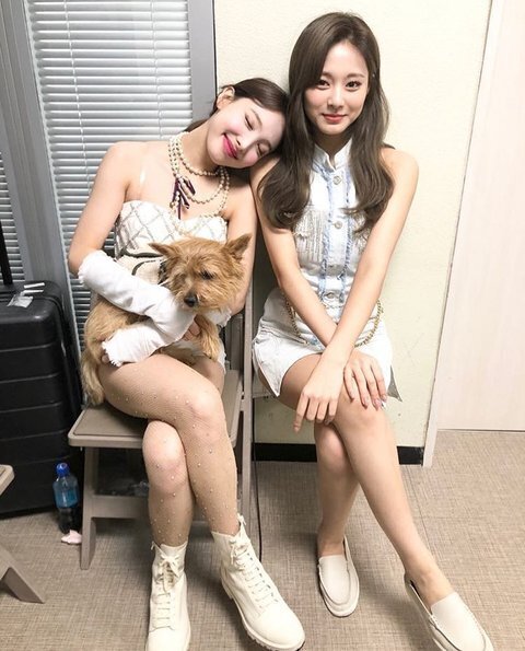 처음 보고도 뭐가 이상한지 알수없는 트와이스 사진 | 인스티즈