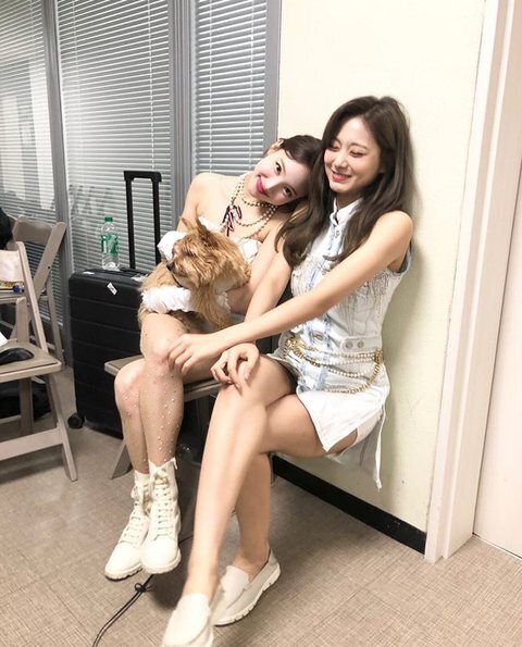 처음 보고도 뭐가 이상한지 알수없는 트와이스 사진 | 인스티즈