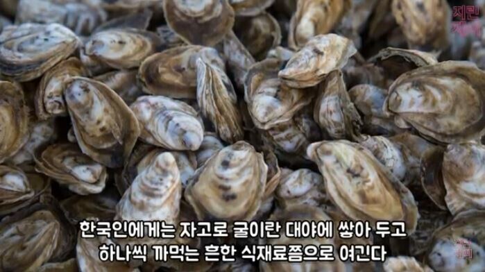 외국에선 고급 음식 이지만 한국에선 흔한 음식.jpg | 인스티즈