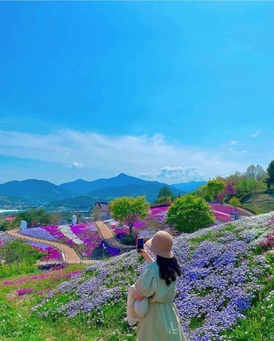 한국관광공사 공식 인스타그램의 사진들 | 인스티즈