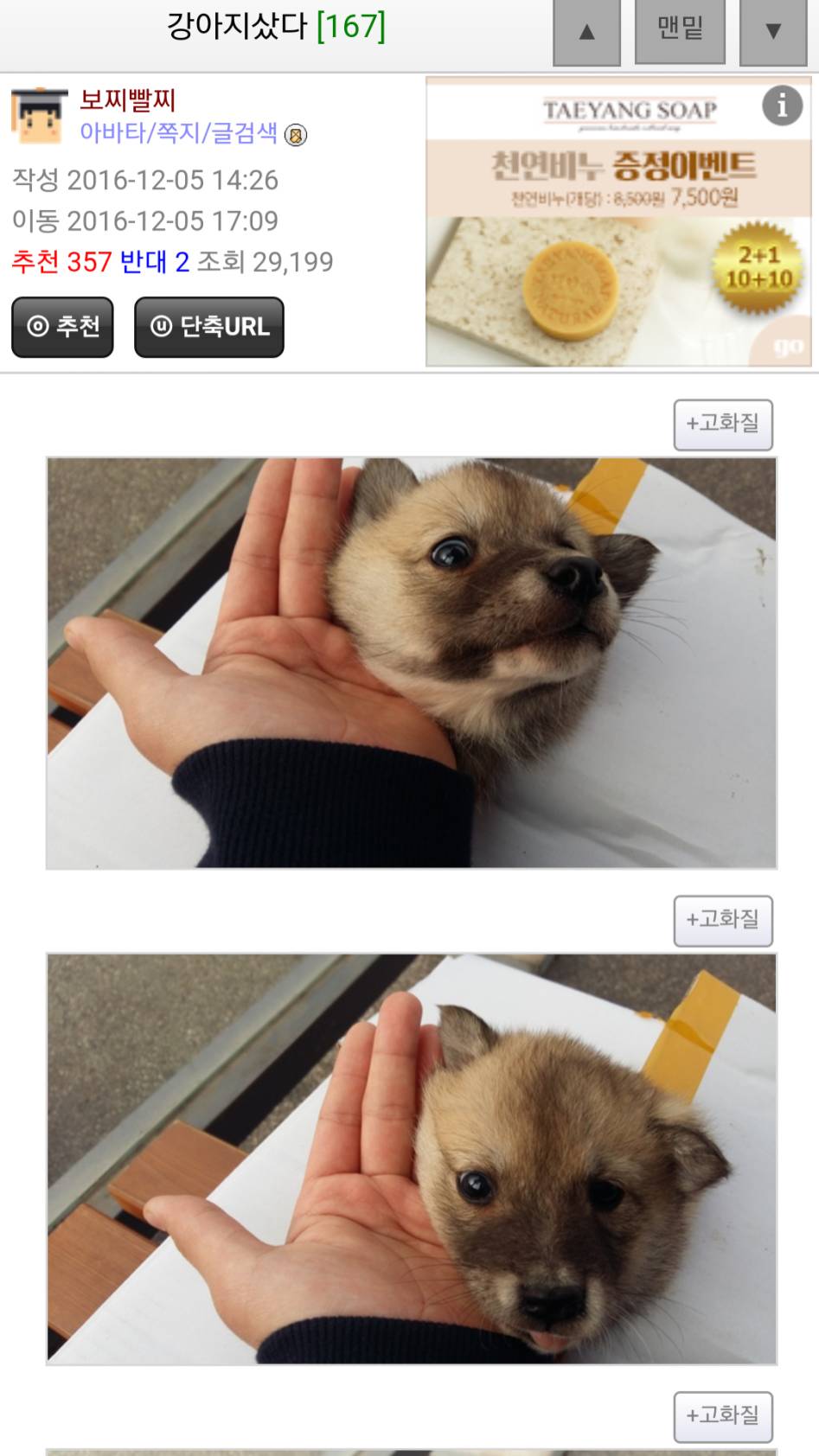 강아지 이름 바꾼다.jpg - 인스티즈(instiz) 인티포털 카테고리 강아지 이름 바꾼다.Jpg - 인스티즈(Instiz) 인티포털 카테고리