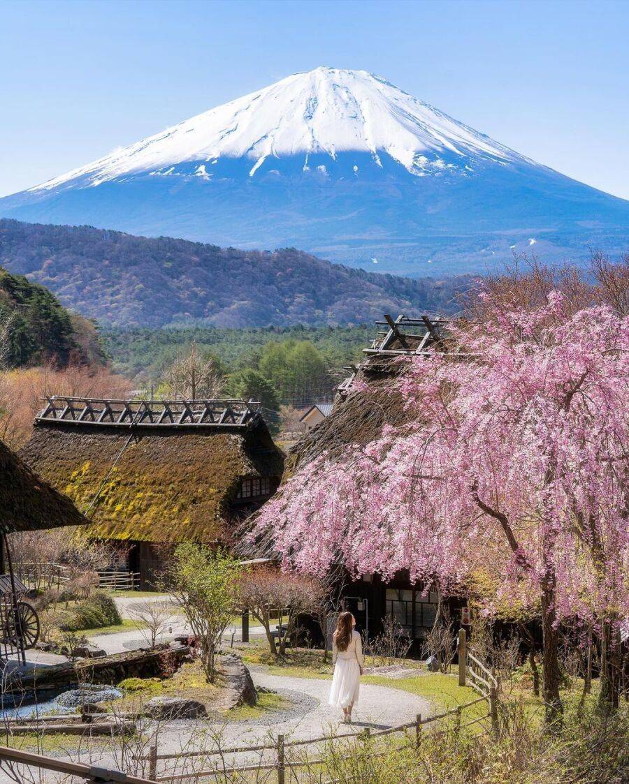 일본 전국 여행간 일본 여자 ㄷㄷ | 인스티즈