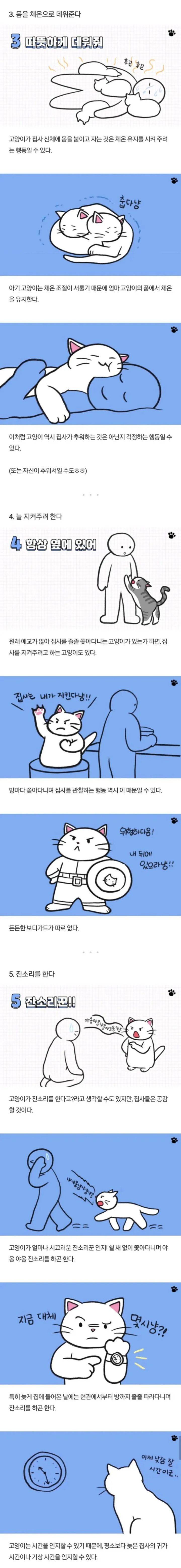 고양이가 하는 행동들 | 인스티즈