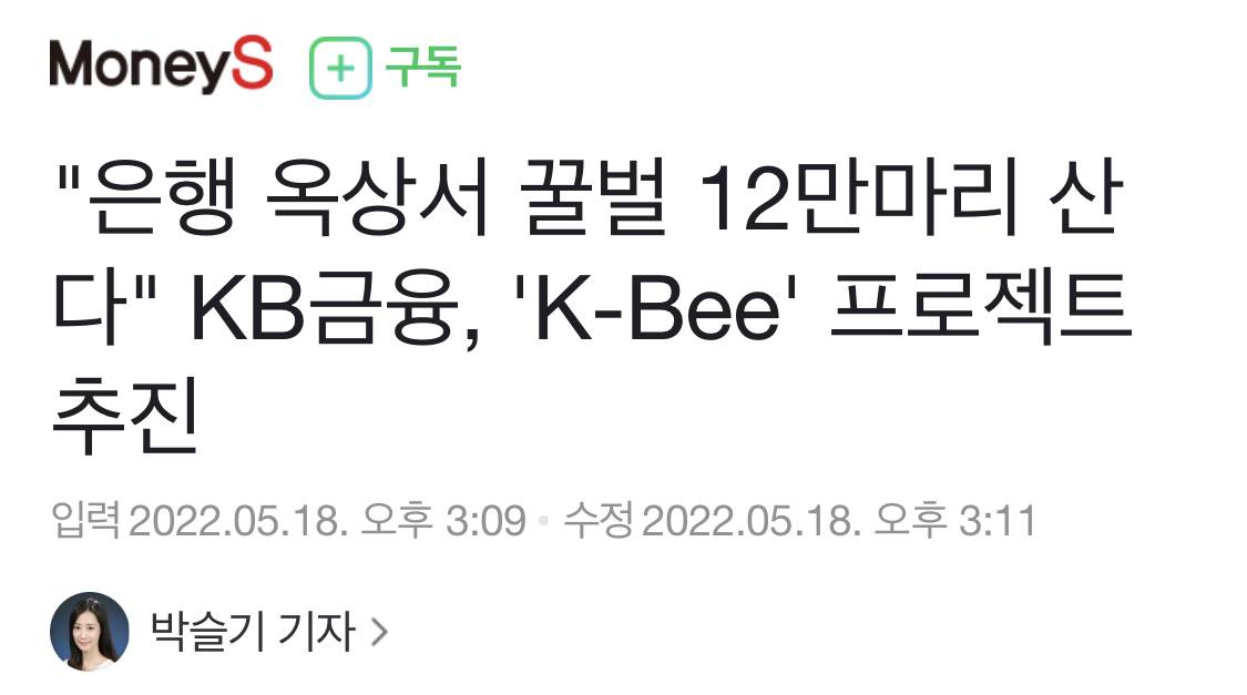 "은행 옥상서 꿀벌 12만마리 산다"KB금융, 'K-Bee' 프로젝트 추진 | 인스티즈