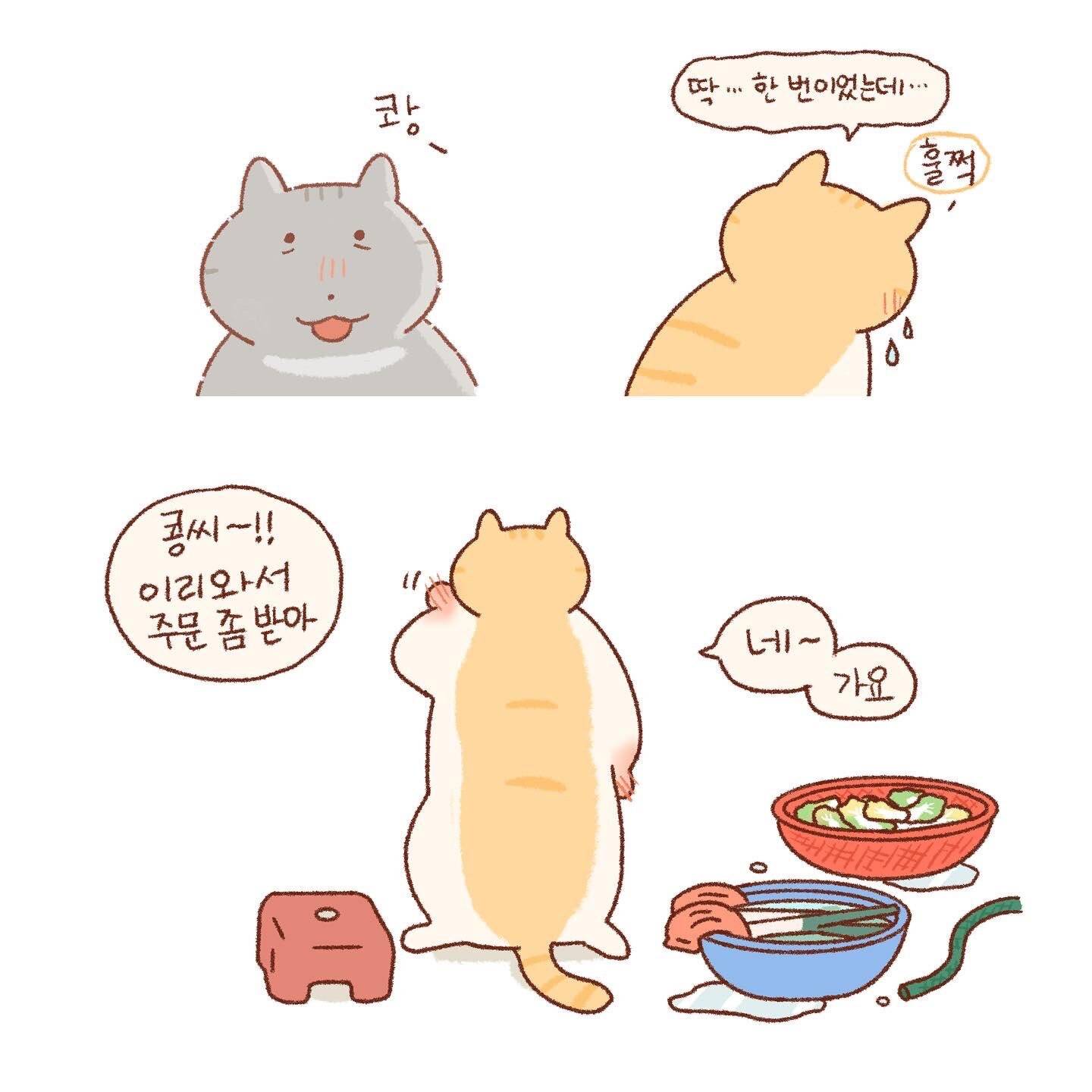 틴틴팅클 속 콩물이네 가족 이야기 모음🐱💦 | 인스티즈