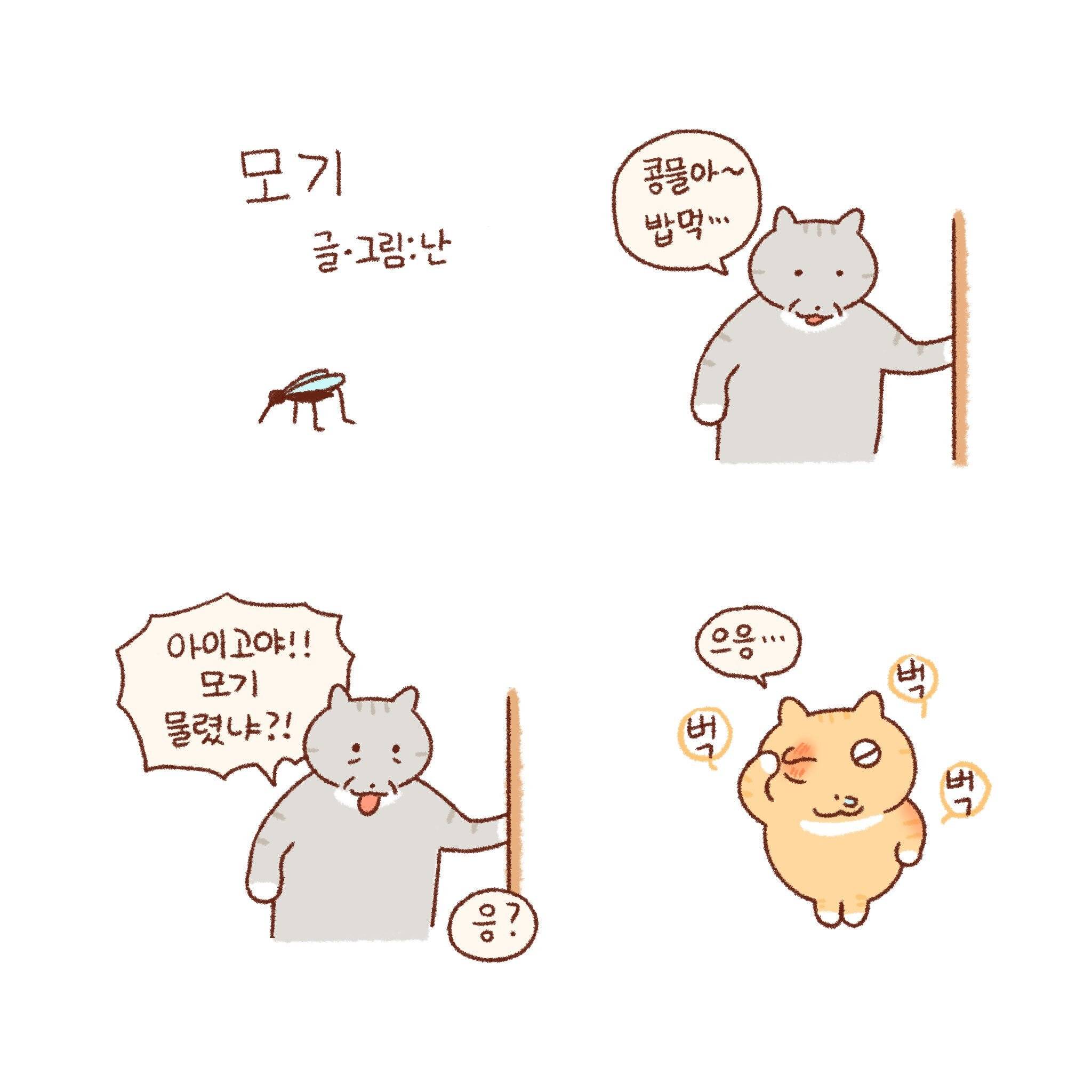 틴틴팅클 속 콩물이네 가족 이야기 모음🐱💦 | 인스티즈