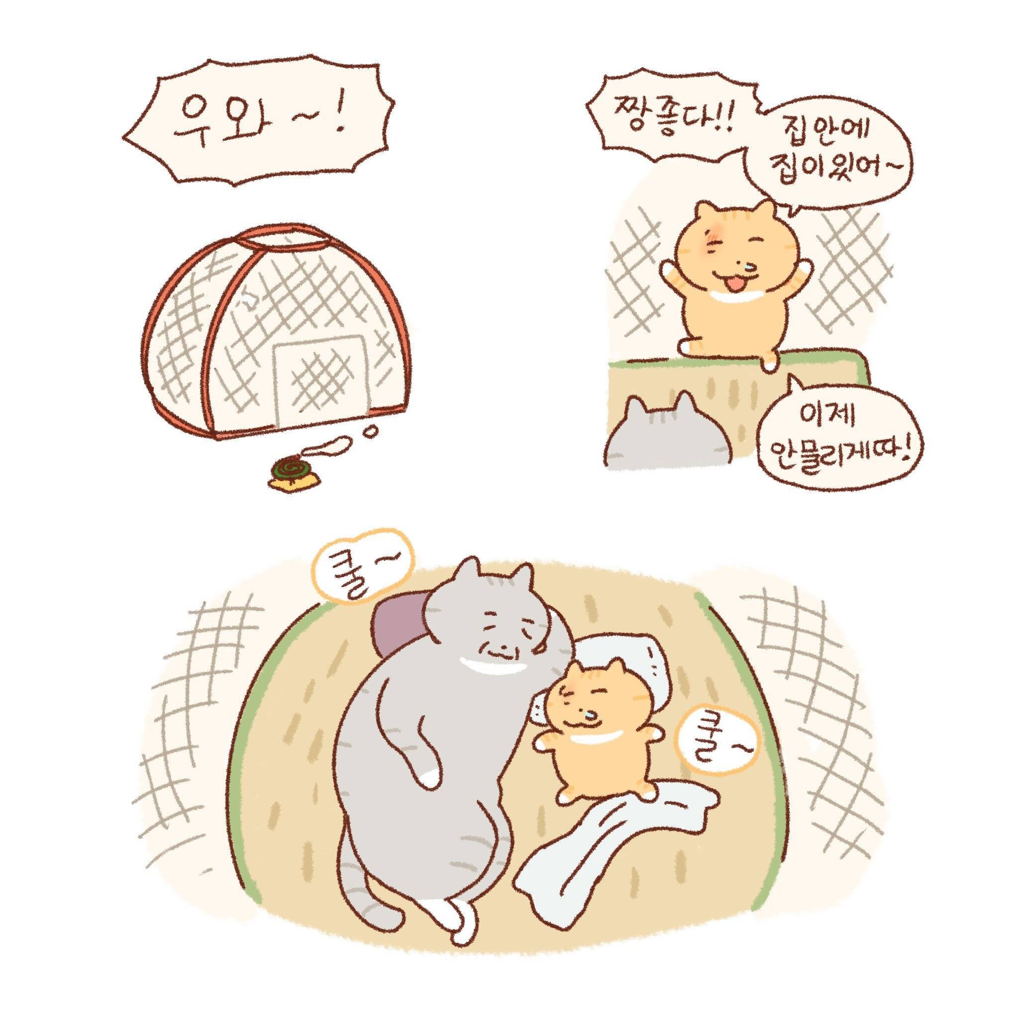 틴틴팅클 속 콩물이네 가족 이야기 모음🐱💦 | 인스티즈