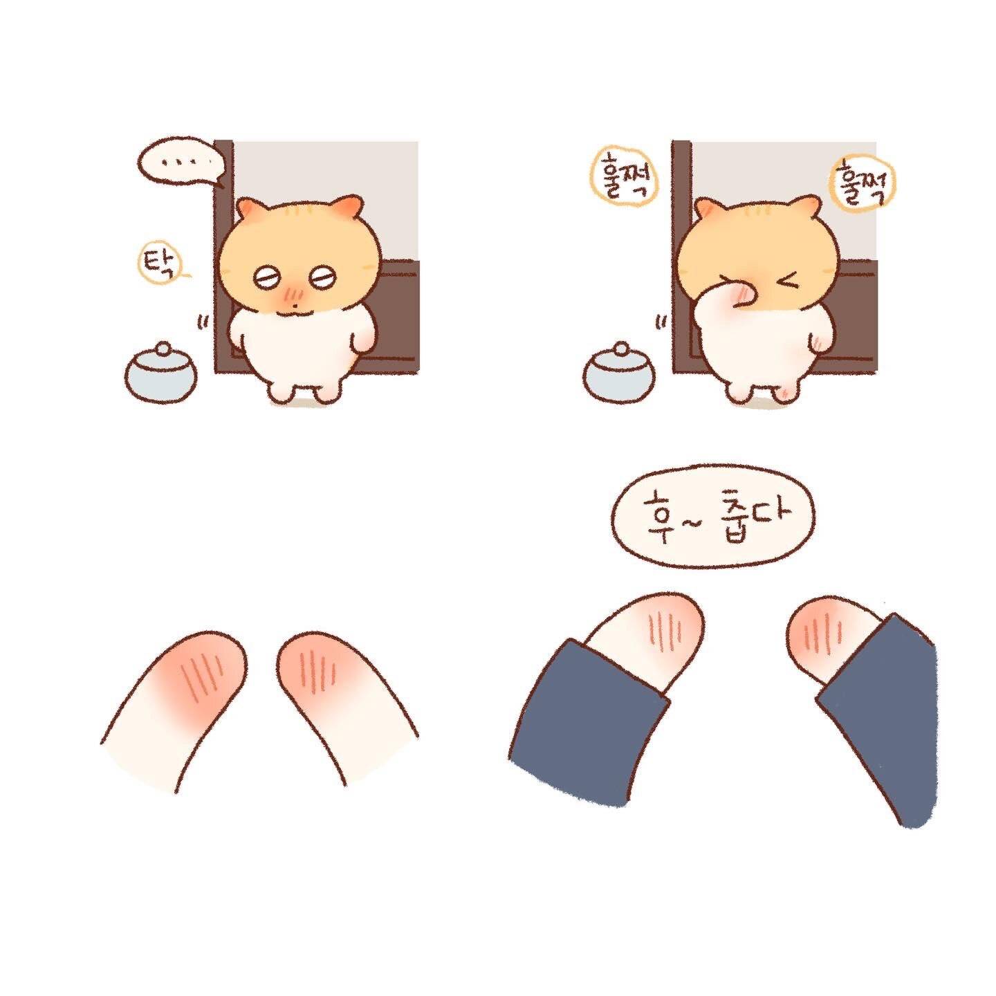 틴틴팅클 속 콩물이네 가족 이야기 모음🐱💦 | 인스티즈