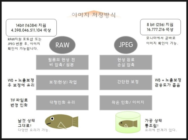 중요한 사진을 raw파일로 찍어야하는 이유.jpg | 인스티즈