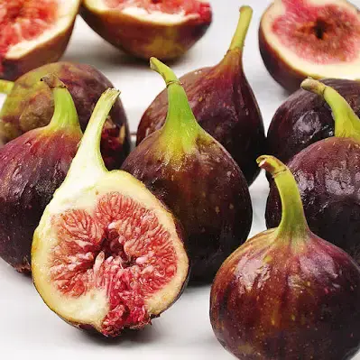 곧 제철 맞이하는 여왕의 과일 무화과.jpg | 인스티즈