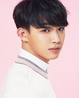 아이돌 성씨 분포표 (본인이 가장 좋아하는 성씨의 아이돌은 누구?) | 인스티즈