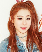 아이돌 성씨 분포표 (본인이 가장 좋아하는 성씨의 아이돌은 누구?) | 인스티즈