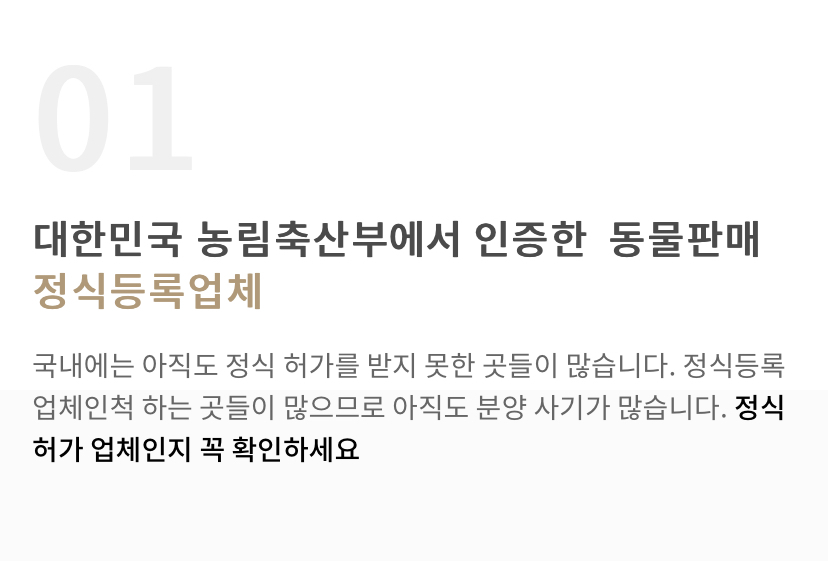 펫샵 소비한 공인들 모음 | 인스티즈