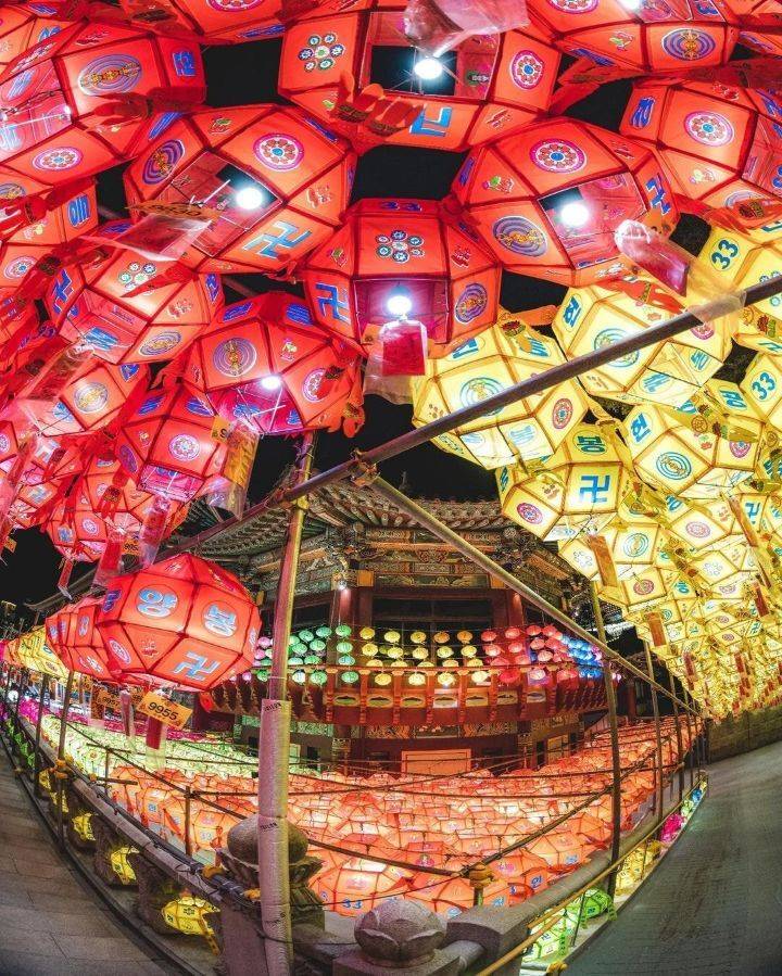 해외에서 반응 좋았던 울릉도 사진 | 인스티즈