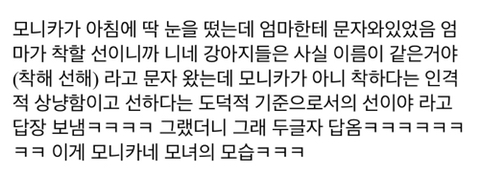 인생을 혼자 200퍼센트쯤 살고 있는것 같은 기상천외한 모니카 일화들.jpg | 인스티즈