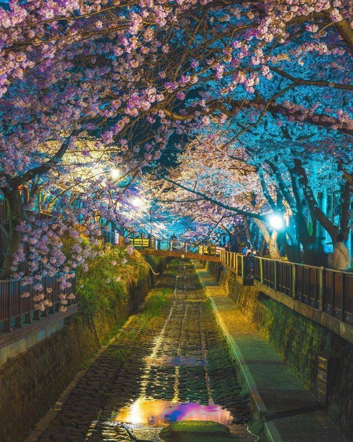 해외에서 반응 좋았던 울릉도 사진 | 인스티즈