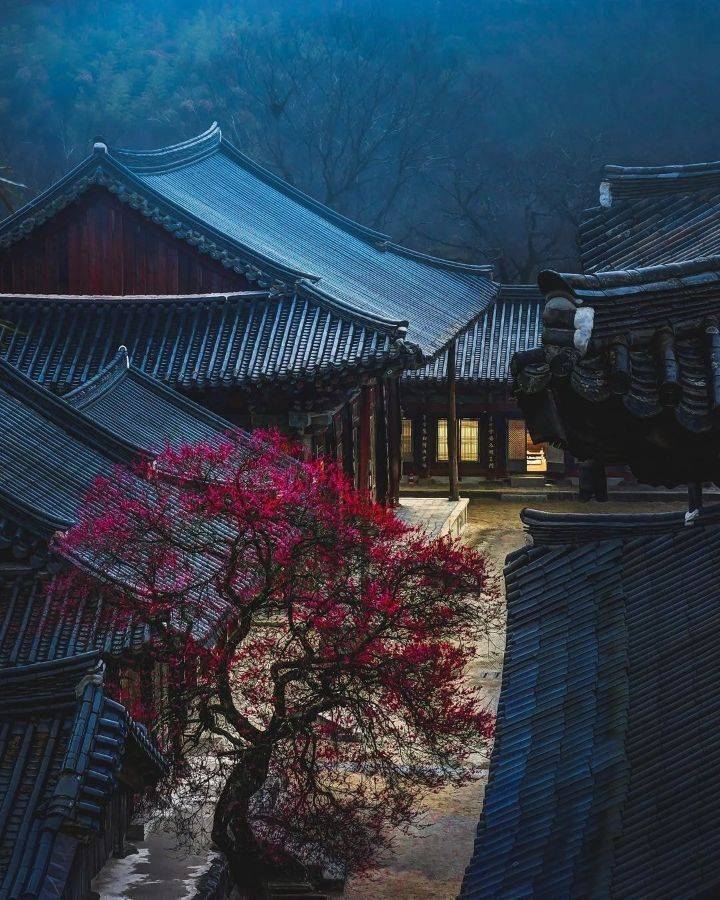 해외에서 반응 좋았던 울릉도 사진 | 인스티즈