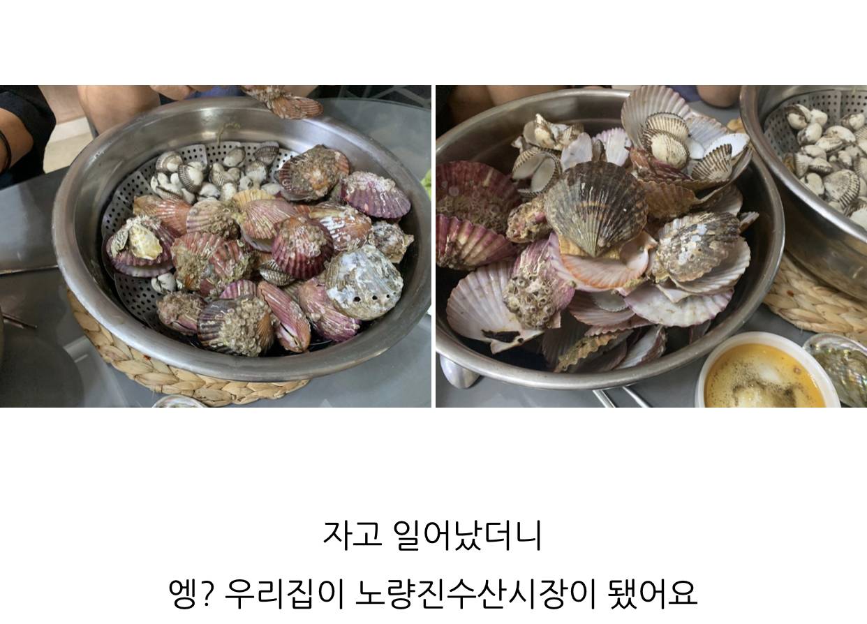 나 블로그 애들이 웃기다고 해주는데 볼 사람ㅋ | 인스티즈