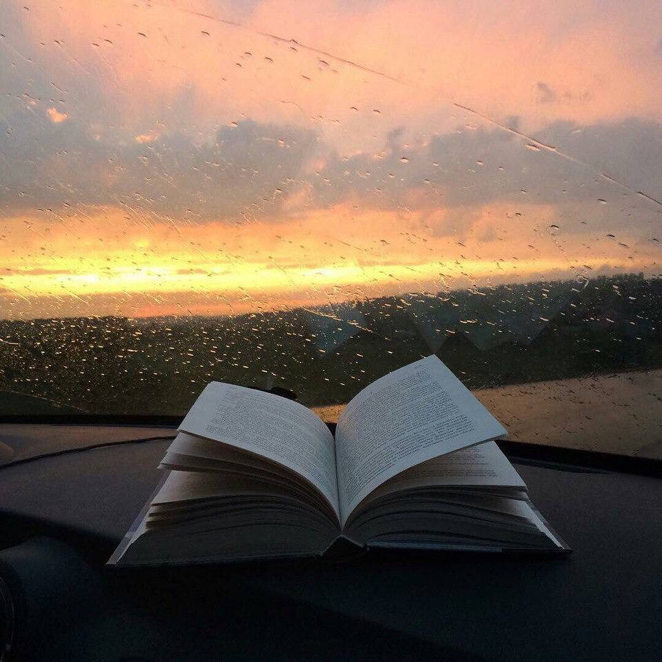 꽤 많은 사람들이 좋아하는 날씨 | 인스티즈