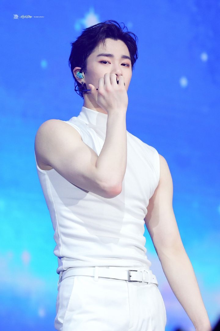 팔뚝에 환장하는 사람들을 위한 남자아이돌 민소매 모음 | 인스티즈