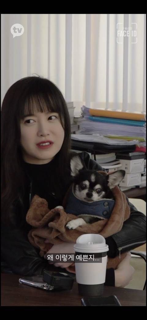 [페이스아이디] 순대가 하늘에서 구름밟고 떨어졌으면 좋겠어 다시 키우게 .. (별이 된 구혜선 반려견) | 인스티즈