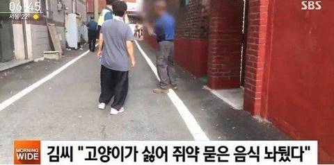 고양이 천마리 죽였다는 기사를 조심해야 하는 이유 | 인스티즈