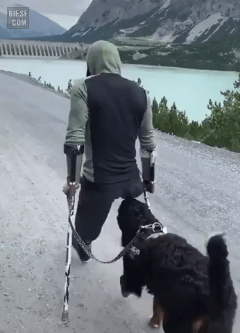 주인의 다리를 대신해주고싶은 댕댕 | 인스티즈