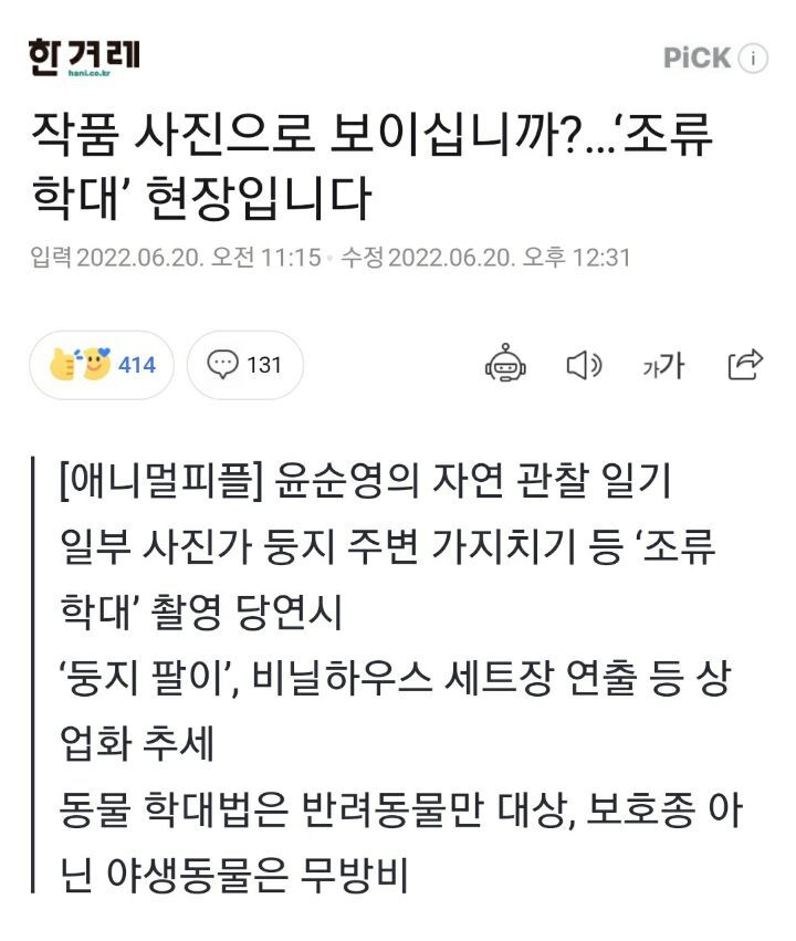 새둥지가 훤히 드러난 사진을 보면 의심부터 해야하는 이유 | 인스티즈