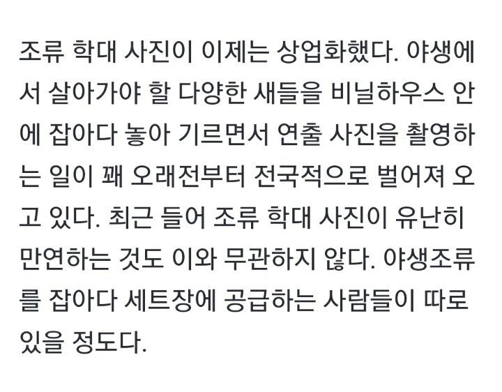 새둥지가 훤히 드러난 사진을 보면 의심부터 해야하는 이유 | 인스티즈
