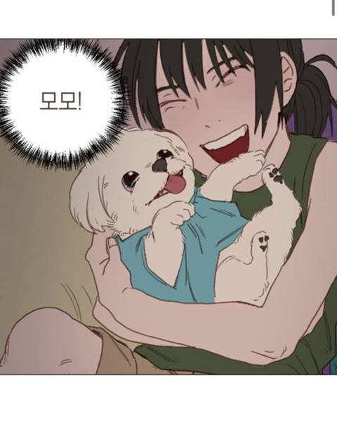 무지개다리 건넌 우리 강아지가 꿈에 나왔는데 저한테 하고 싶은 말이 있대요 | 인스티즈