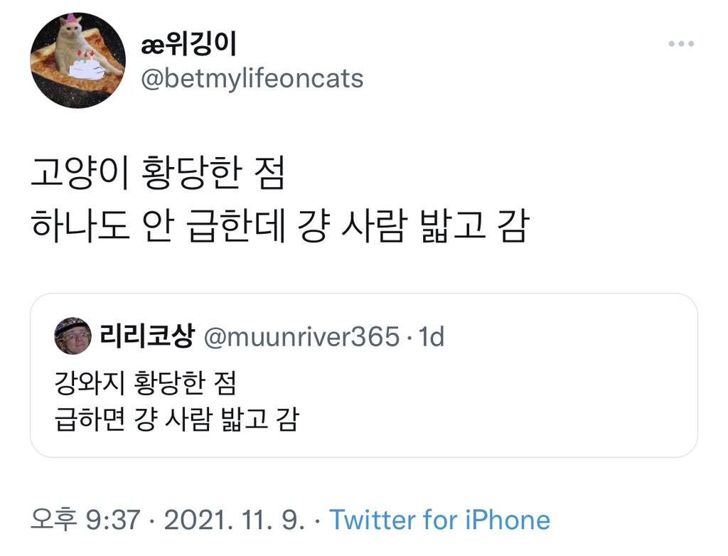 강아지 황당한 점: 급하면 걍 사람밟고 감 | 인스티즈