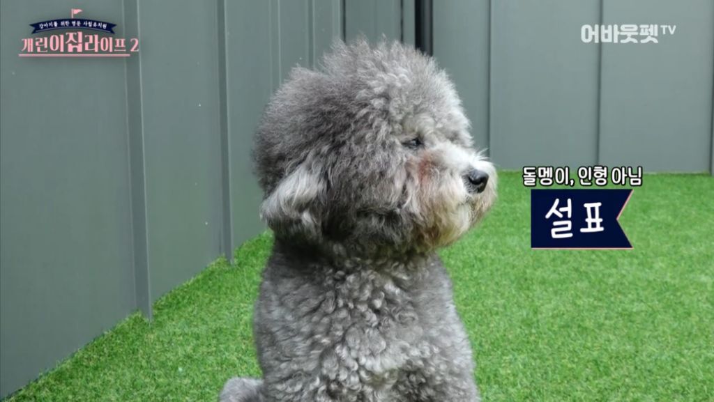 나는 쉽게 움직이지 않아.jpg | 인스티즈