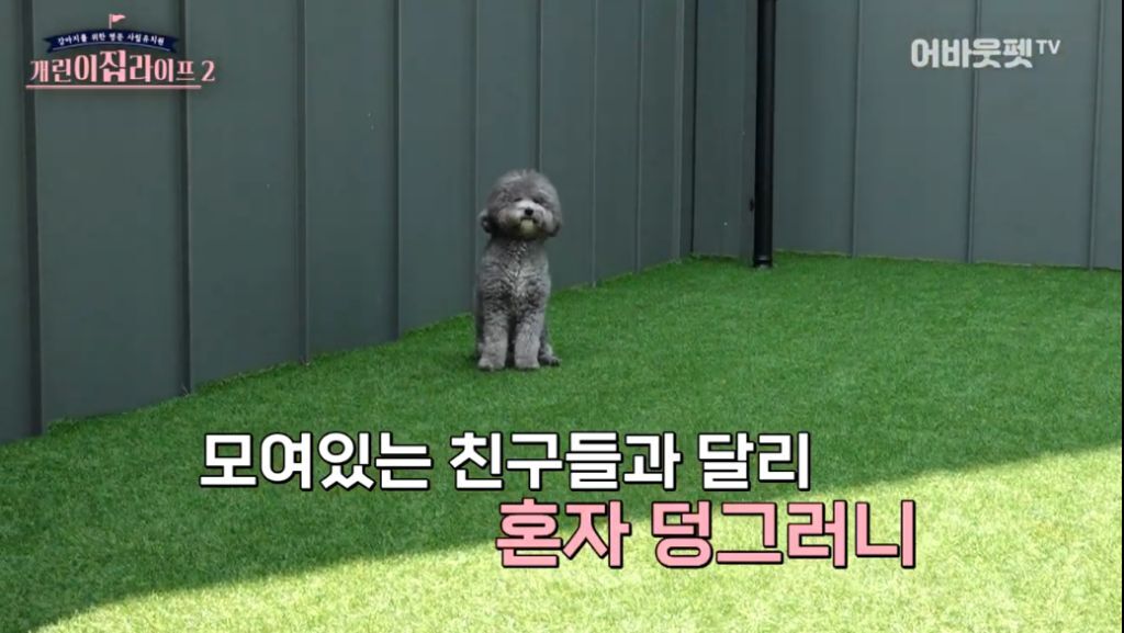 나는 쉽게 움직이지 않아.jpg | 인스티즈