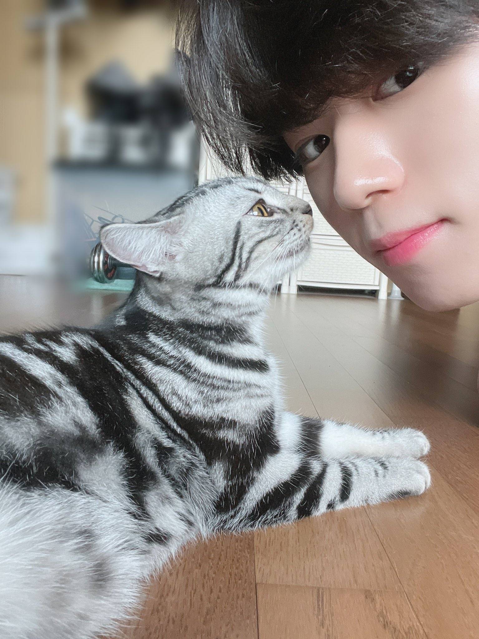 어느 남자 아이돌 숙소에 같이 살고 있는 고양이.jpg | 인스티즈