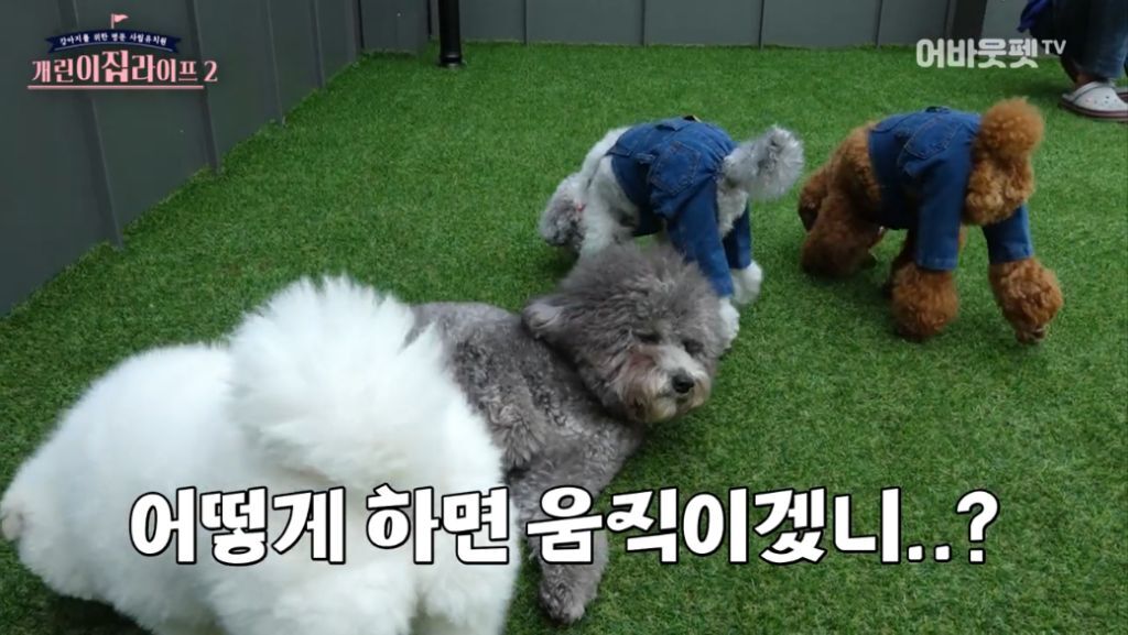 나는 쉽게 움직이지 않아.jpg | 인스티즈