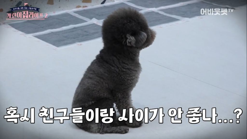 나는 쉽게 움직이지 않아.jpg | 인스티즈