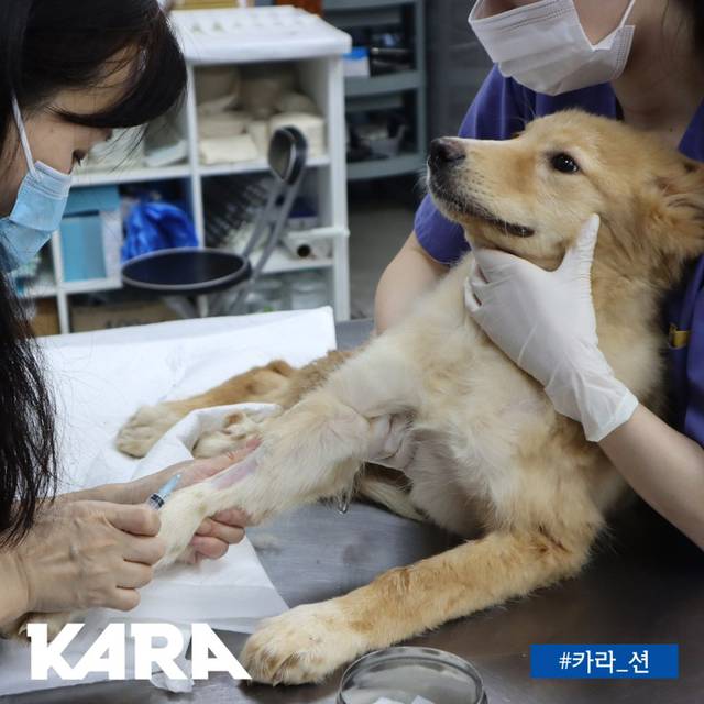 우리나라 음식쓰레기의 43%가 재활용 되는 곳 | 인스티즈