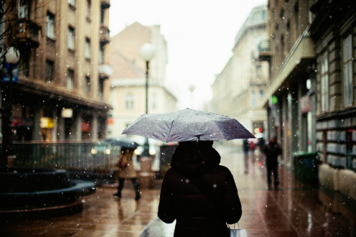 크로아티아 짤들 | 인스티즈