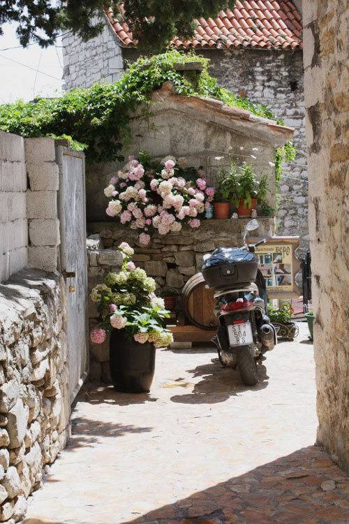 크로아티아 짤들 | 인스티즈