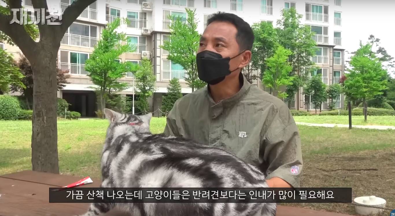 고양이 산책 시키는 강아지 훈련사 이찬종 선생님 | 인스티즈